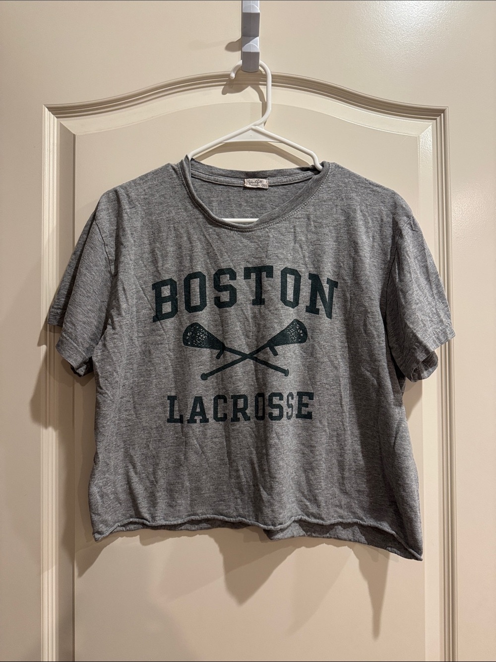Brandy Melville Gray Boston Lacrosse Crop Tee